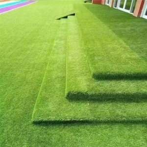 草坪网